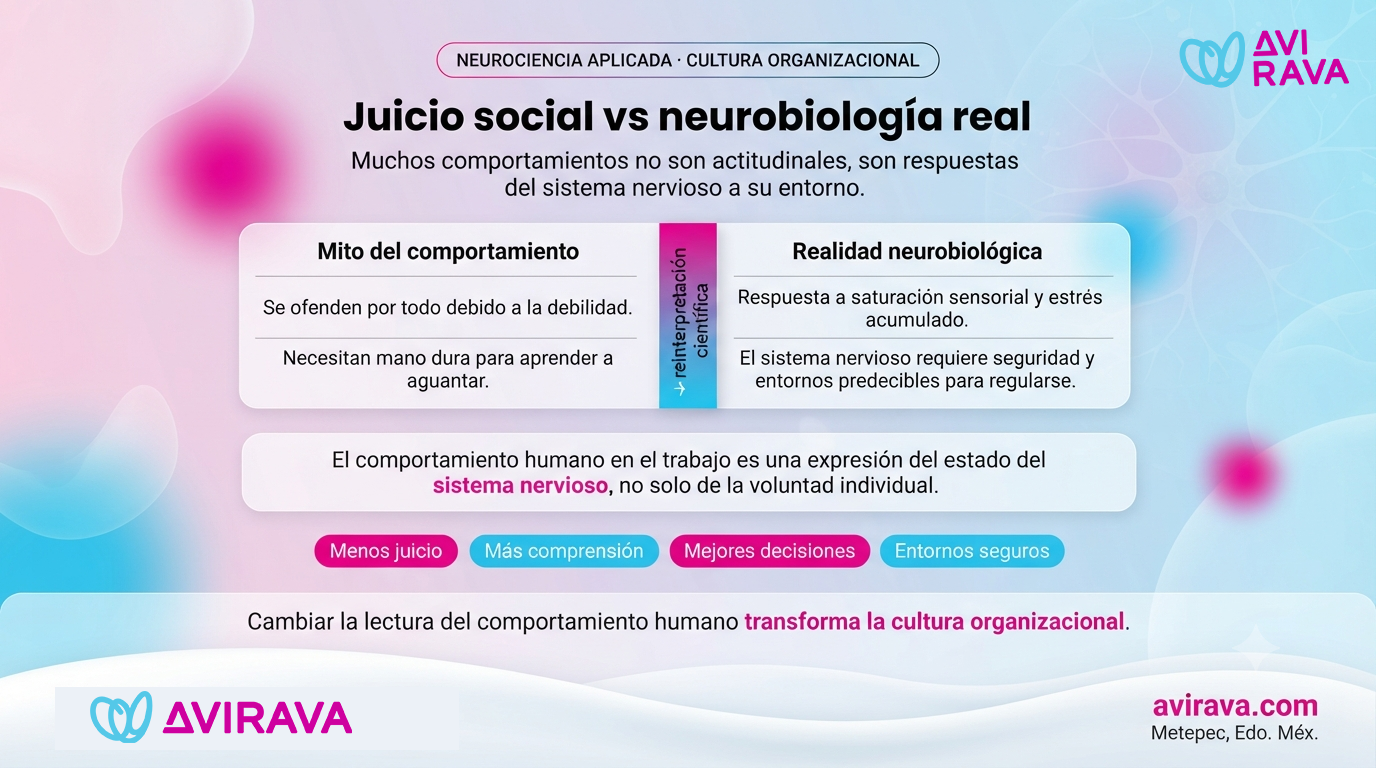 sistema nervioso sobreestimulado

