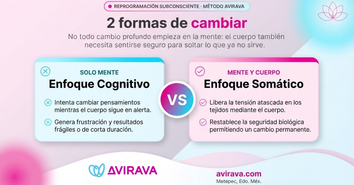 reprogramación somática
